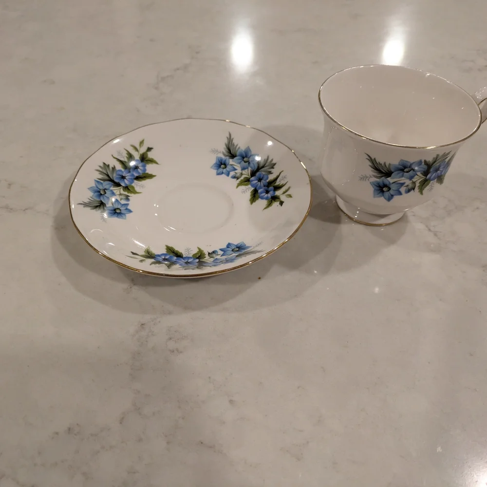 Bone China Queen Anne England  Blue Floral Teacup and Saucer Set with Gold Trim